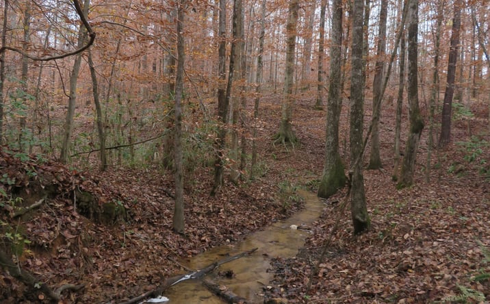 Pictures of Land property located at Old Spring Rd, Cuthbert, GA 39840 for sales - image #1
