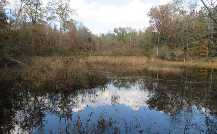 Pictures of Land property located at Goolsby Rd, Ellaville, GA 31806 for sales - image #1