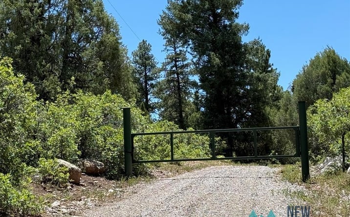Pictures of Land property located at 381 Buckman Road Drive, Chama, NM 87520 for sales - image #1