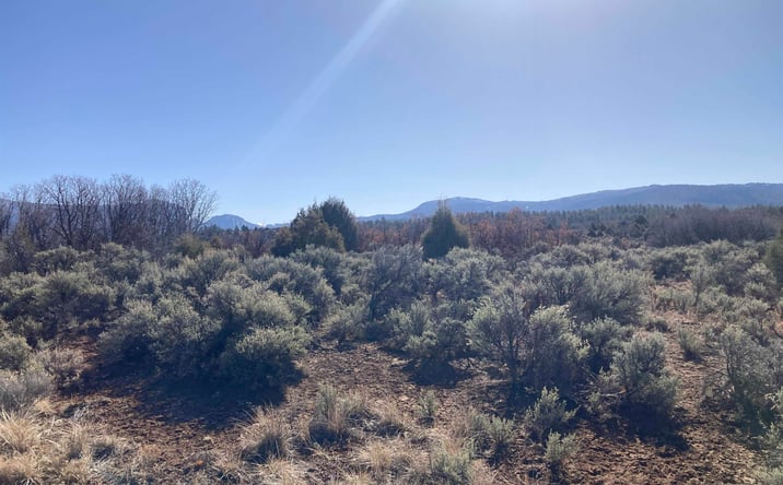 Pictures of Land property located at TBD Tierra Grande 16 43 44 45, Ensendada, NM 87575 for sales - image #1