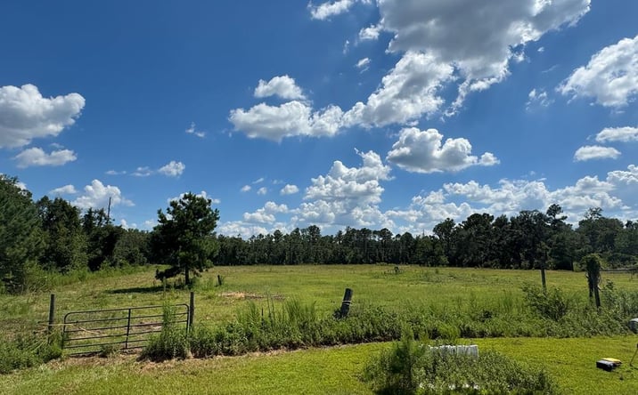 Pictures of Land property located at US HWY 41 South, Dasher, GA 31635 for sales - image #1