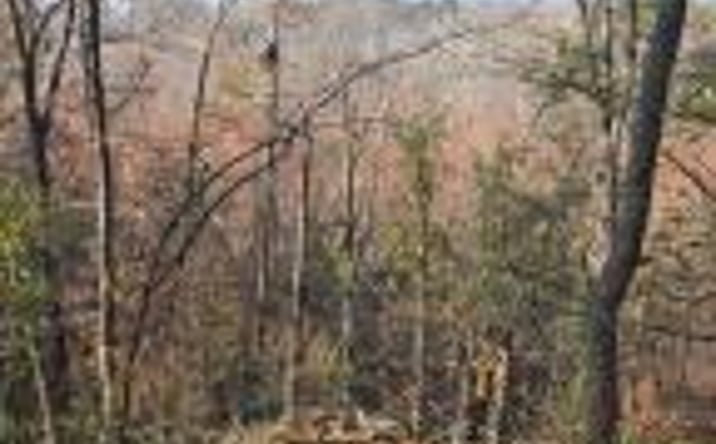 Pictures of Land property located at 000 Atomic Road, Beech Island, SC 29842 for sales - image #1