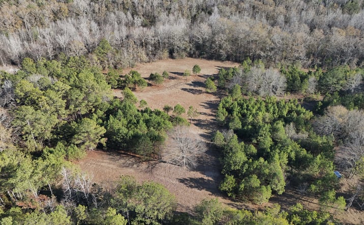 Pictures of Land property located at Co Rd 49, Tuskegee, AL 36083 for sales - image #1