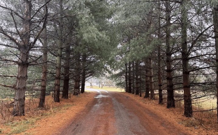 Pictures of Business for Sale, Special Purpose property located at 10216 Royston Rd, Grand Ledge, MI 48837 for sales - image #1