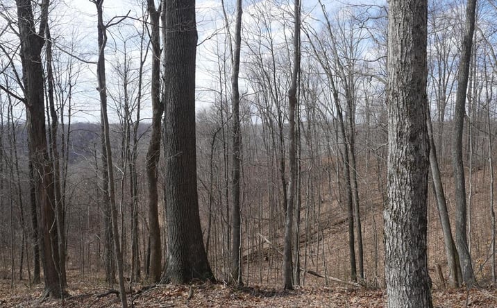 Pictures of Land, Multifamily property located at TBD Reynolds Ridge Road, Bandy, VA 24602 for sales - image #1