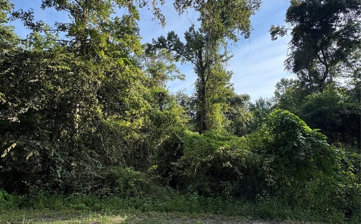 Pictures of Land property located at Barth Rd, Dade city, FL 33523 for sales - image #1