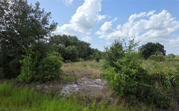 Pictures of Land property located at 17435 NW 280th St, Okeechobee, FL 34972 for sales - image #1