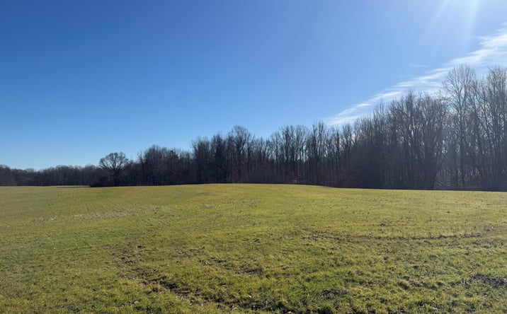 Pictures of Land property located at Arp Central Road, Ripley, TN 38063 for sales - image #1