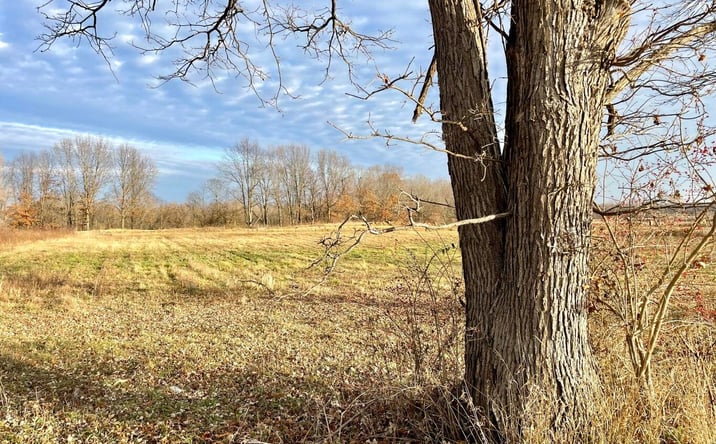 Pictures of Land property located at Mooreville Road, Saline, MI 48176 for sales - image #1