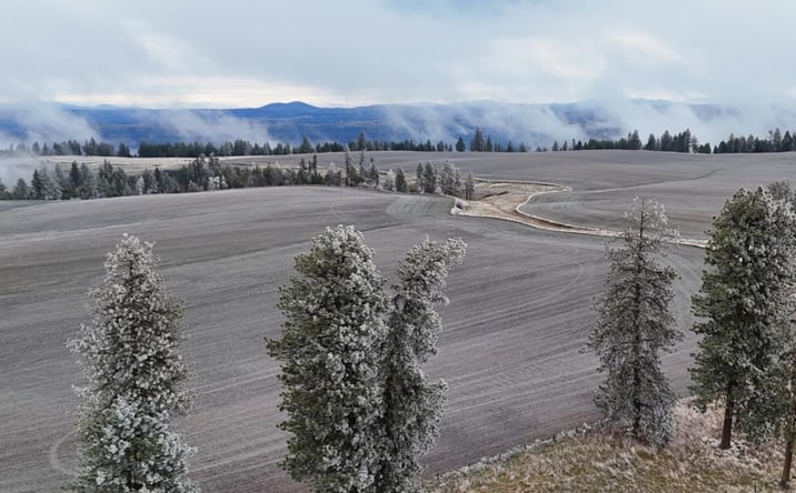 Pictures of Land property located at 2439 Albers Rd, Nezperce, ID 83543 for sales - image #1