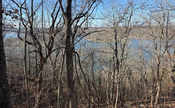 Pictures of Land, Special Purpose property located at Chimney Rock Road, Camdenton, MO 65020 for sales - image #1