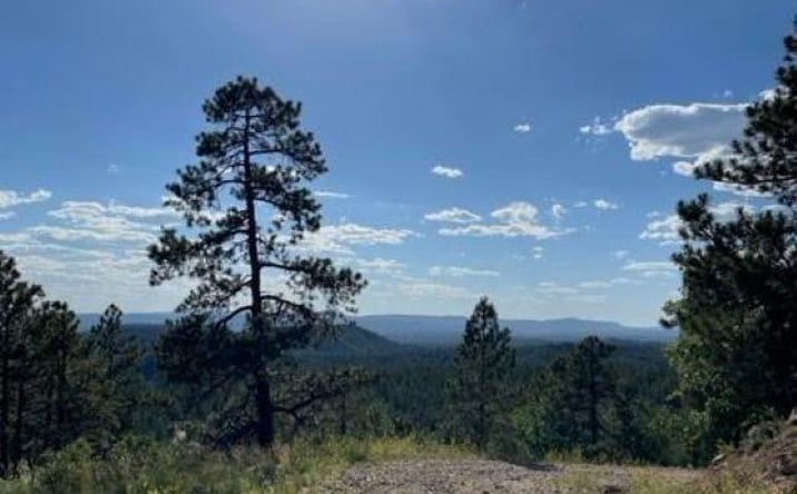 Pictures of Land property located at TBD Ticonderoga Drive Drive, Chama, NM 87520 for sales - image #1