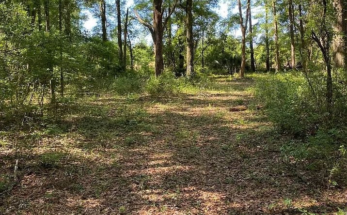 Pictures of Land property located at 4 NW West South Dr LOT 127, Mayo, FL 32066 for sales - image #1