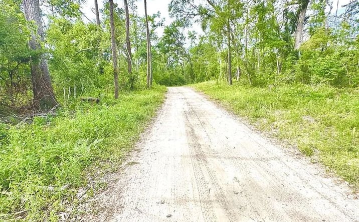 Pictures of Land property located at 3 NW Fox Run Trl LOT 105, Mayo, FL 32066 for sales - image #1