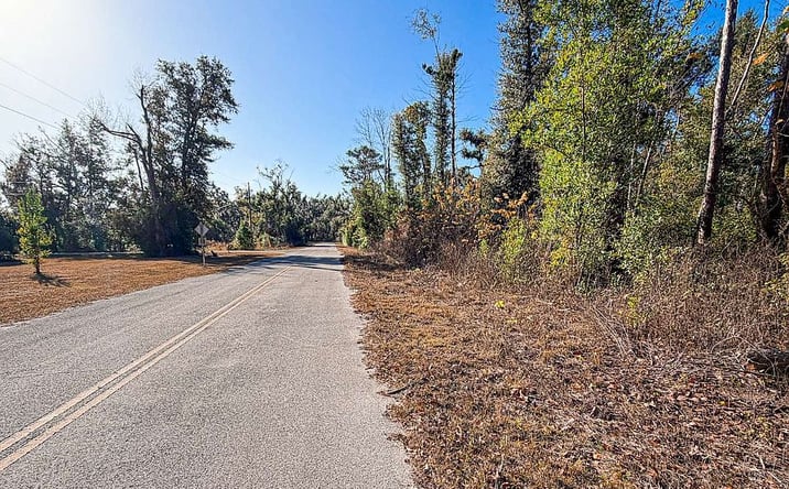 Pictures of Land property located at 0 NW Fulton St, Day, FL 32066 for sales - image #1