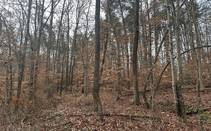 Pictures of Land property located at Leda Rd, Nathalie, VA 24577 for sales - image #1