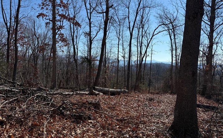 Pictures of Land property located at 122 Hull Hills Ln, Staunton, VA 24401 for sales - image #1