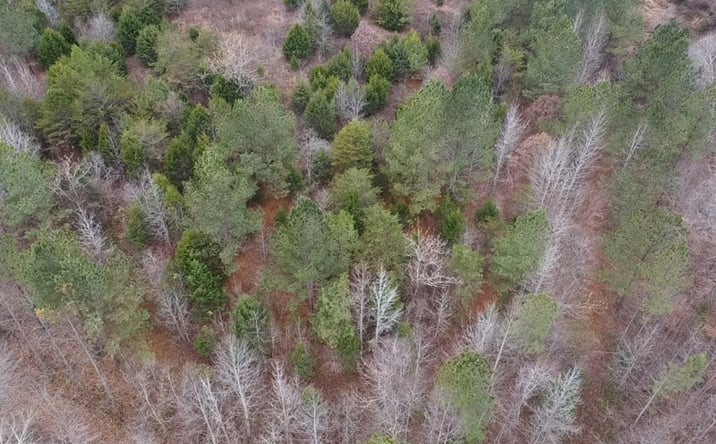 Pictures of Land property located at Wellspring Ln, South Boston, VA 24592 for sales - image #1