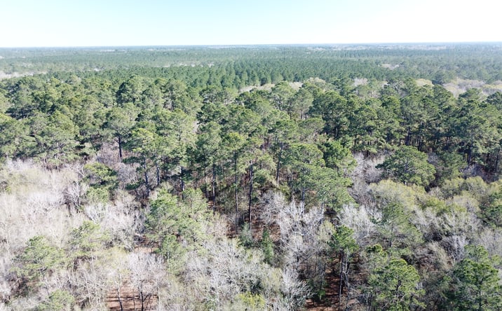 Pictures of Land property located at Corrigan Rd, Vidor, TX 77662 for sales - image #1