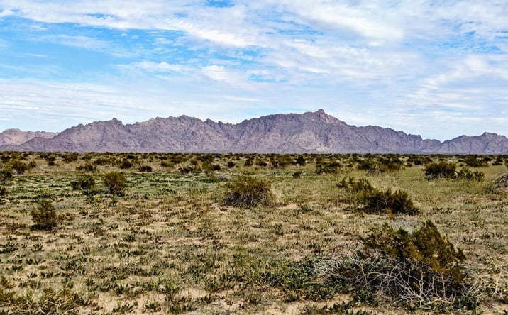 Pictures of Industrial, Land, Mixed Use, Special Purpose property located at XXX Old US 8, Yuma, AZ 85356 for sales - image #1