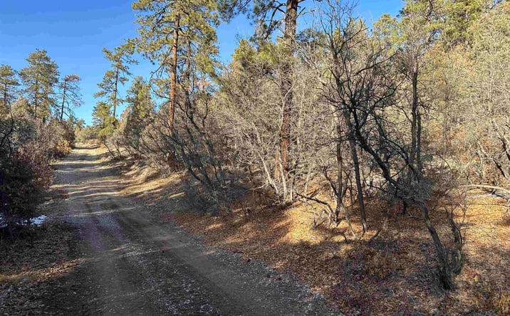 Pictures of Land, Special Purpose property located at TBD Private Drive 1781, Chama, NM 87520 for sales - image #1