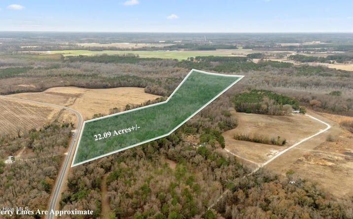 Pictures of Land property located at 0 Gaddys Mill Road, 92683, NC 28364 for sales - image #1