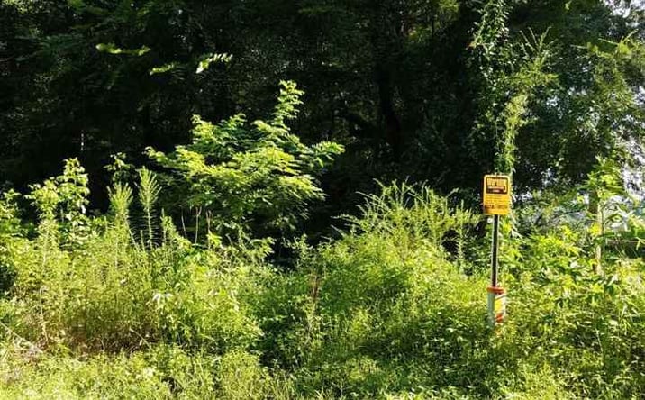 Pictures of Land property located at 795 Hill Avenue, Henderson, TN 38340 for sales - image #1