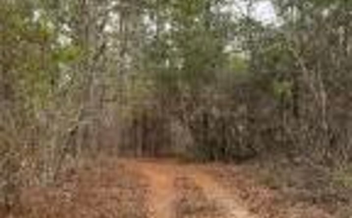 Pictures of Land property located at 000 Old Country Road Road, Aiken, SC 29801 for sales - image #1