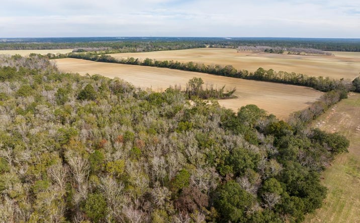 Pictures of Land property located at Madison Hwy, Quitman, GA 31643 for sales - image #1