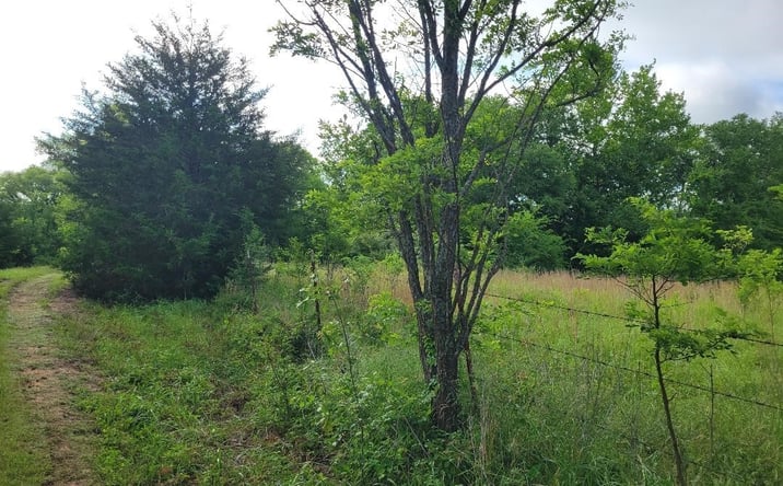 Pictures of Land property located at Hull, Hanna, OK 74845 for sales - image #1