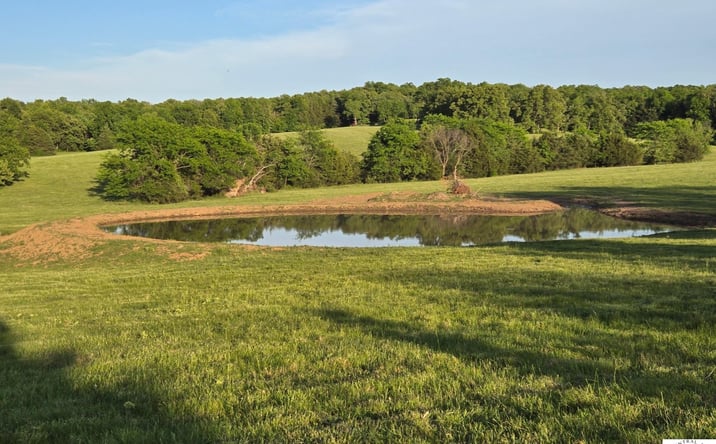 Pictures of Land property located at Luster/Violet, Warsaw, MO 65355 for sales - image #1