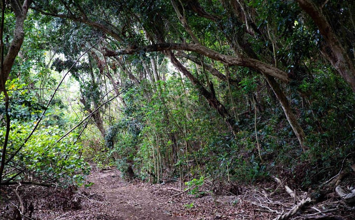 Pictures of Land property located at 0 Malaihi Rd, Wailuku, HI 96793 for sales - image #1