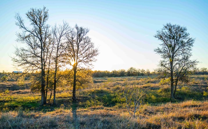 Pictures of Land property located at 3191 Co Rd 463, Elgin, TX 78621 for sales - image #1