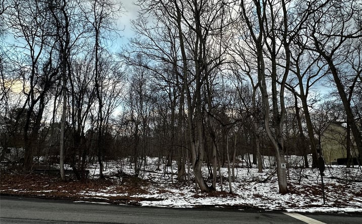 Pictures of Land property located at W Bartlett Road, Brookhaven, NY 11953 for sales - image #1
