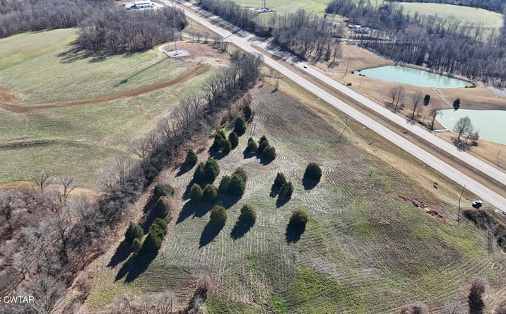 Pictures of Land property located at 10100 (S) US-412, Friendship, TN 38034 for sales - image #1