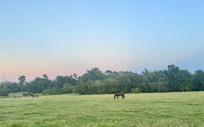 Pictures of Land property located at Spring Branch Rd, Montgomery, TX 77316 for sales - image #1