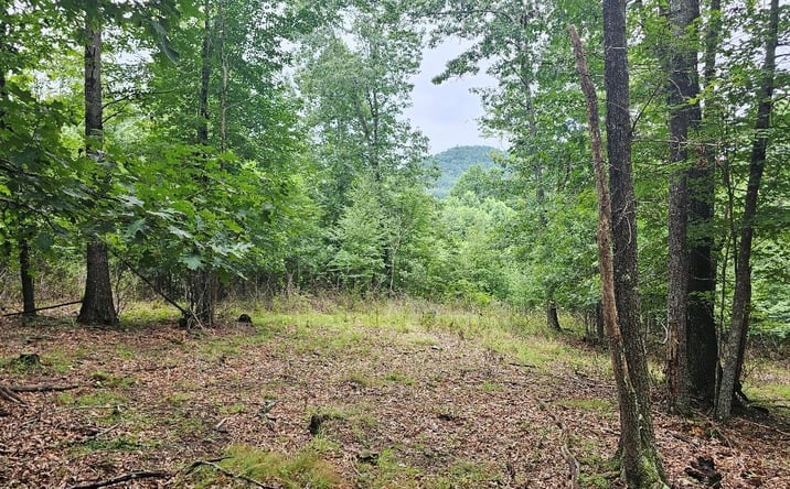 Pictures of Land, Multifamily property located at 188 Mallard Ln, Fries, VA 24330 for sales - image #1