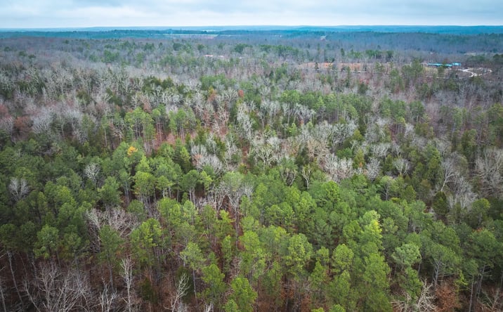 Pictures of Land property located at 000 Dalton Drive, Texas, MO 65542 for sales - image #1