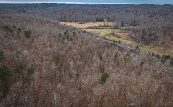 Pictures of Land property located at 000 Highway V, Redford, MO 63665 for sales - image #1