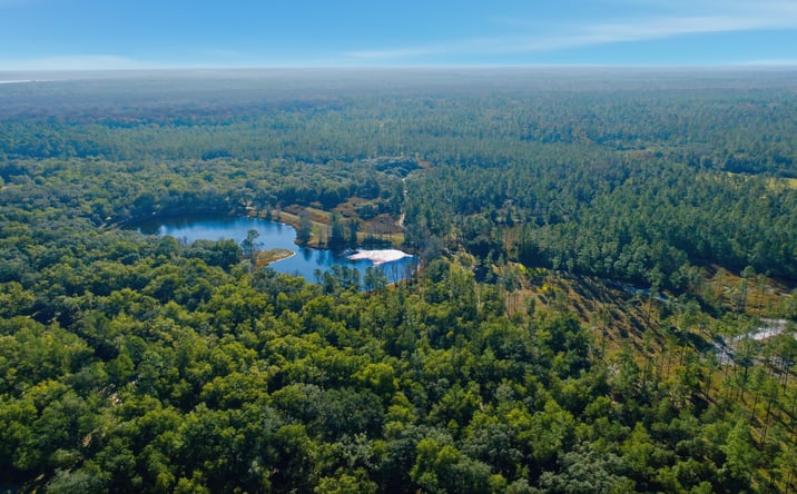 Pictures of Land property located at NE 115TH Lane RD Ft. McCoy, Florida 32134, Fort McCoy, FL 32134 for sales - image #1