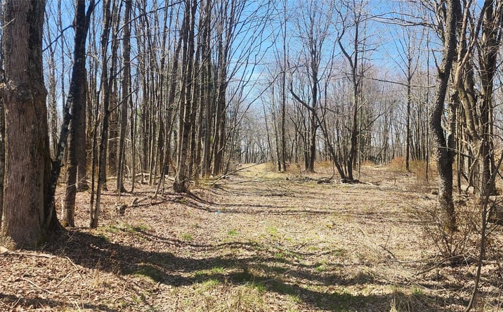 Pictures of Land, Multifamily property located at Liberty Street, Thompson, NY 12701 for sales - image #1