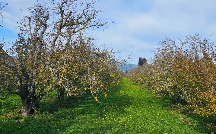 Pictures of Land property located at 0 Varni Rd Corralitos, Corralitos, CA 95076 for sales - image #1