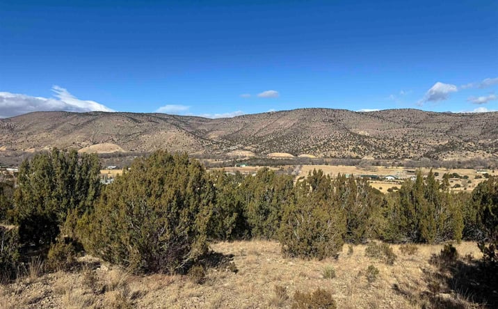 Pictures of Land property located at 140 Manfor Road, Hondo, NM 88348 for sales - image #1