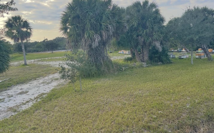 Pictures of Mixed Use, Retail, Self Storage property located at 6440 US-1, Melbourne, FL 32940 for sales - image #1