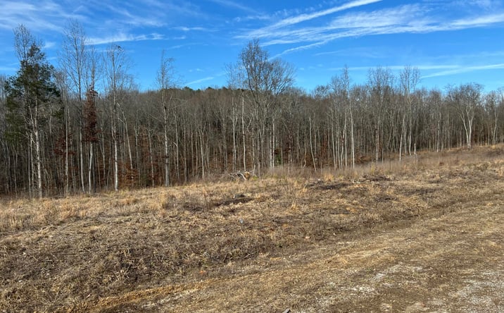 Pictures of Land property located at Robinson Levee Road, McKenzie, TN 38201 for sales - image #1