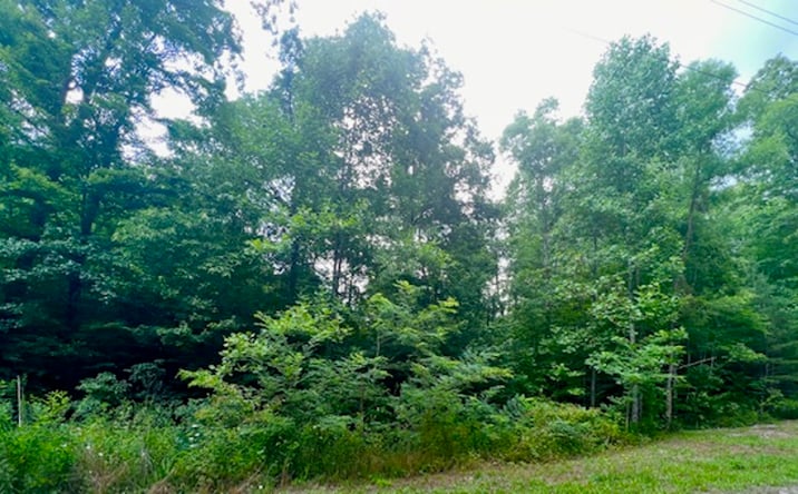 Pictures of Land property located at 3482 Chapel Hill Rd, Crawford, TN 38554 for sales - image #1
