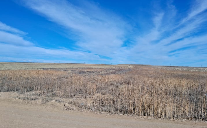 Pictures of Land property located at N/a Vacant Land, Avondale, CO 81022 for sales - image #1
