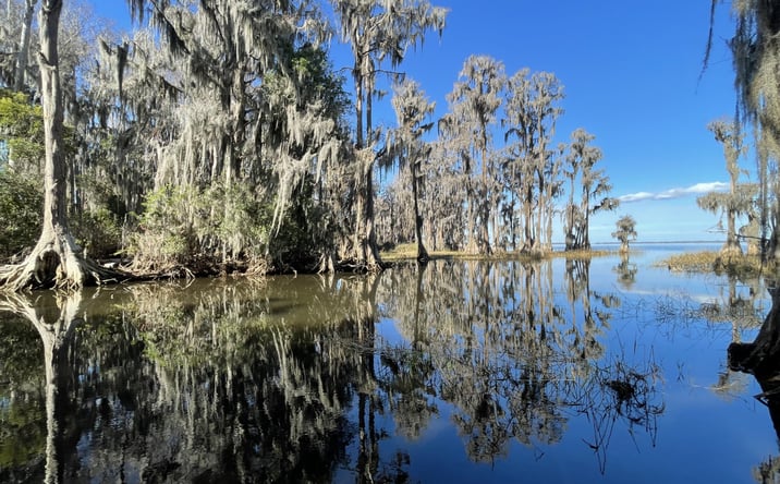 Pictures of Land property located at 24510 FL-26, Melrose, FL 32666 for sales - image #1