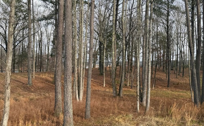 Pictures of Land property located at Lot 15 Stately Oak Dr, Huntingdon, TN 38344 for sales - image #1