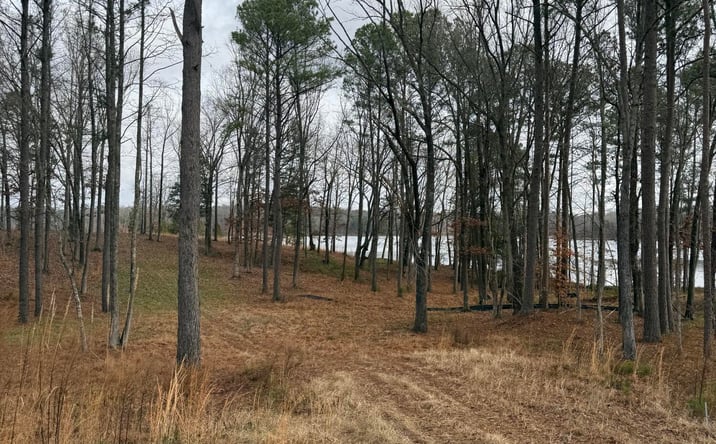 Pictures of Land property located at Lot 17 Stately Oak Dr, Huntingdon, TN 38344 for sales - image #1